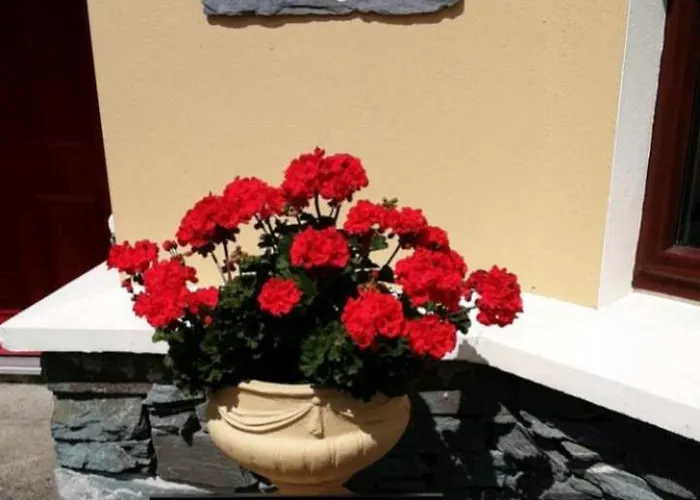 Kayden House -1 Apartman *